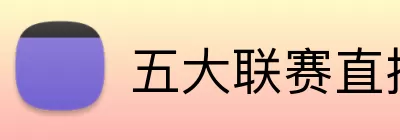 五大联赛直播官网 Logo